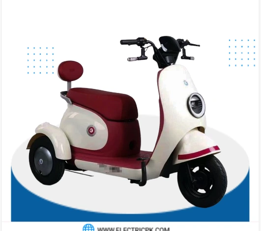 Roadking K9 Three Wheeler electric Scooty price in Pakistan