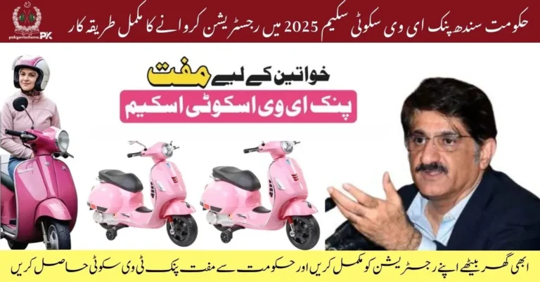 Free Electric Scooters for Women in Sindh – How to Apply (2025) 1 Free Electric Scooters for Women in Sindh – How to Apply (2025)